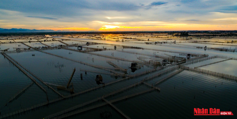Hoàng hôn tuyệt đẹp trên phá Tam Giang -0