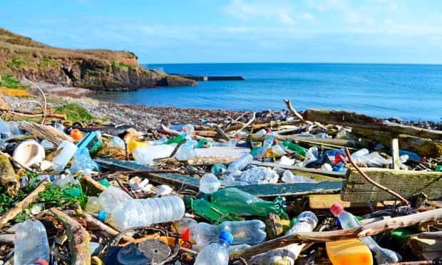 Nhiều nhà lãnh đạo cam kết ngăn chặn mất đa dạng sinh học của Trái đất -0