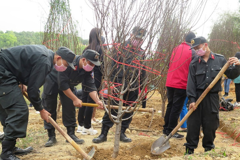 Các địa phương hưởng ứng Tết trồng cây Xuân Tân Sửu -0