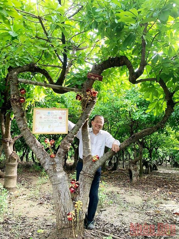 Vườn cây Sala tạo dáng thế theo triết lý nhà Phật ở Ninh Thuận -0