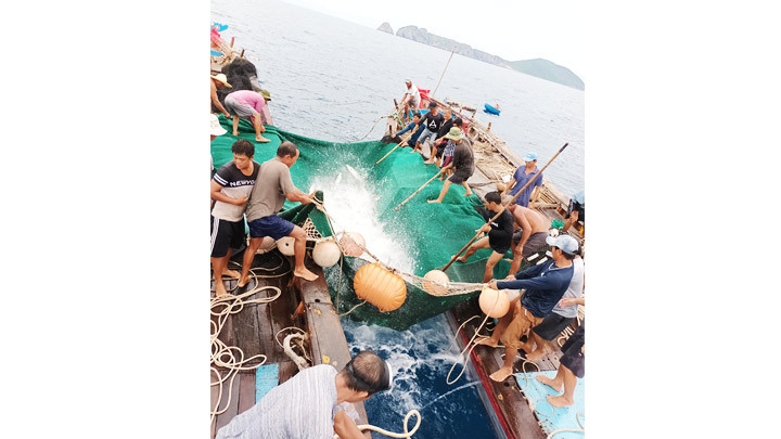 Độc đáo nghề lưới đăng -0