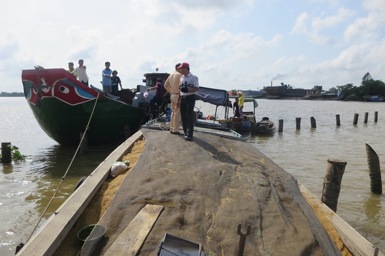 Bó tay với bãi cọc ngầm giữa dòng Cổ Chiên -0