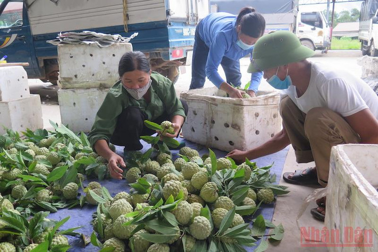 Na Chi Lăng lên sàn thương mại điện tử -0