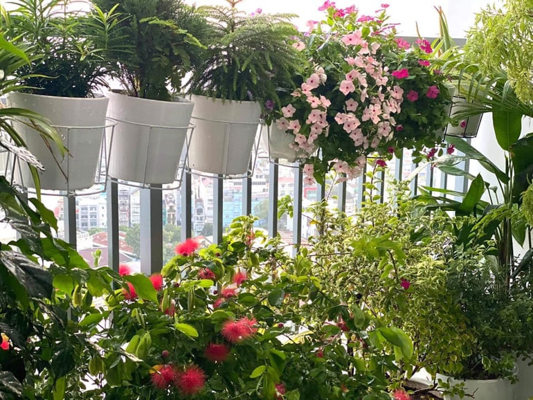 Trào lưu “phủ xanh” mạng xã hội và câu chuyện dễ thương đằng sau -0