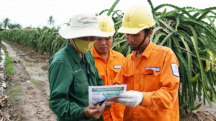 Công nhân Điện lực Tiền Giang hướng dẫn người dân tại huyện Chợ Gạo sử dụng điện an toàn trong quá trình chăm sóc thanh long. Đề phòng tai nạn điện giật trong mùa mưa -0