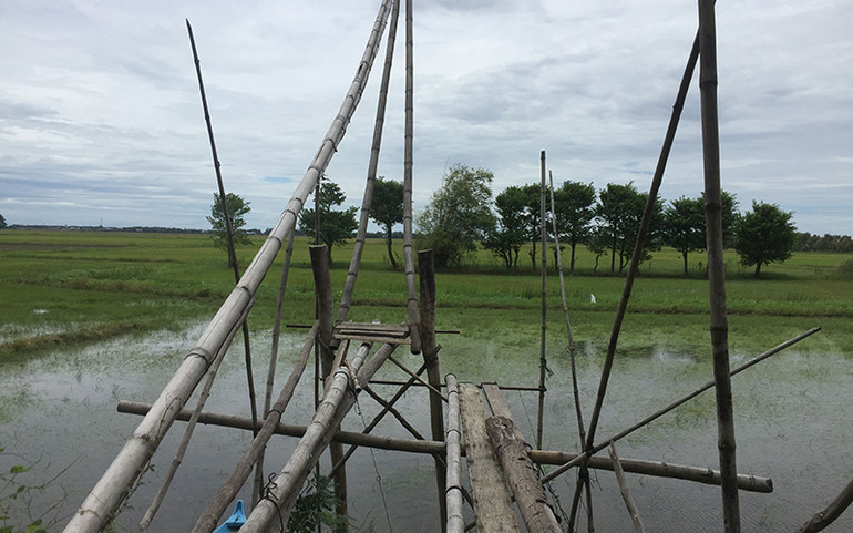 Lũ cạn & nỗi lòng "người mẫu" xóm cá ảnh 1 Lũ cạn & nỗi lòng