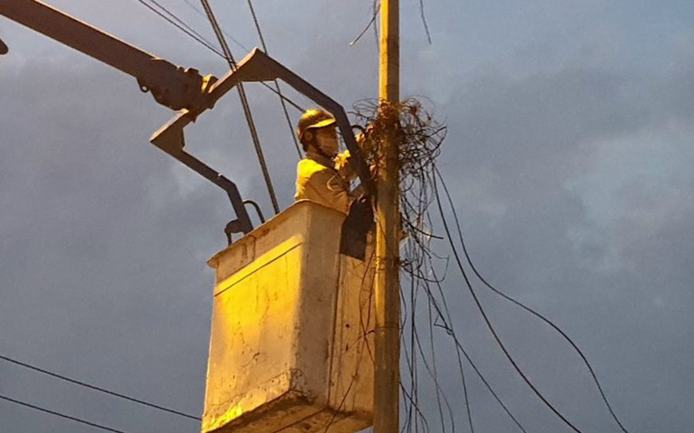 Thái Bình cắt hạ, xử lý “mạnh tay” các đơn vị viễn thông vi phạm quy định lắp đặt -0