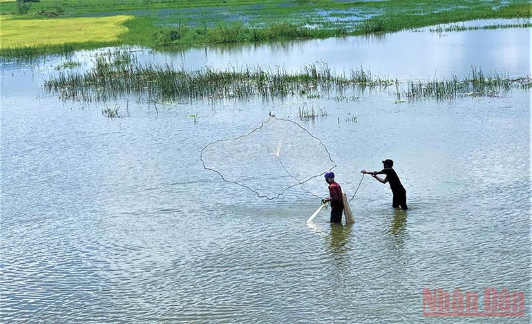 Nhiều hộ đồng bào dân tộc thiểu số sinh sống bên hồ Lắk còn khai thác nguồn thủy sản trong lòng hồ để phục vụ cuộc sống hằng ngày. Thơ mộng hồ Lắk giữa đại ngàn Tây Nguyên -0