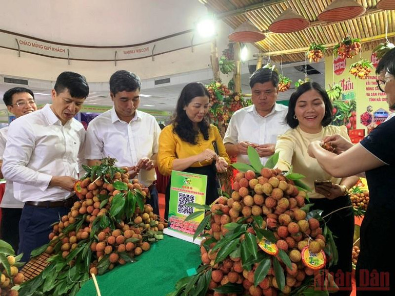 Các đại biểu tham quan gian hàng trưng bày vải Hải Dương. (Ảnh: THANH TRÀ) Khai mạc phiên chợ nông sản, đặc sản vùng miền các tỉnh đồng bằng sông Hồng -0