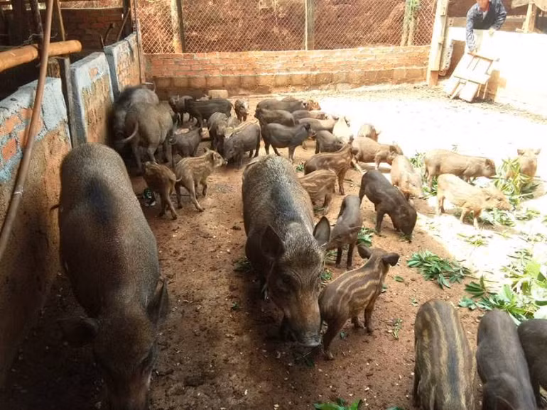 Sớm đưa Tuy Đức ra khỏi danh sách huyện 30a của cả nước -0