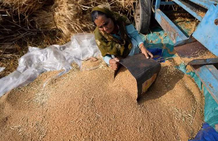 Hình ảnh người dân Ấn Độ nhọc nhằn trong nắng nóng ngột ngạt -0