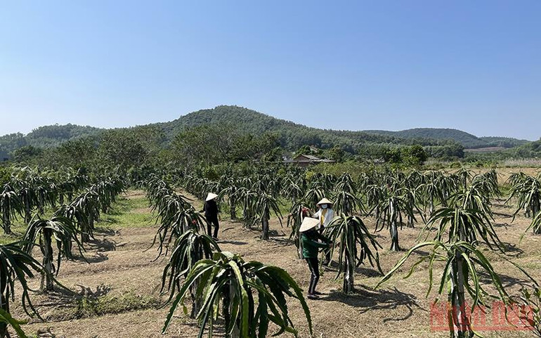 Phụ nữ Hải Dương thực hành tiết kiệm theo gương Bác -0