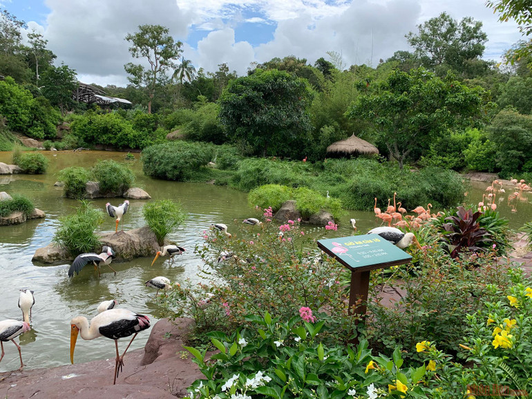 Trải nghiệm công viên động vật hoang dã Safari Phú Quốc -1