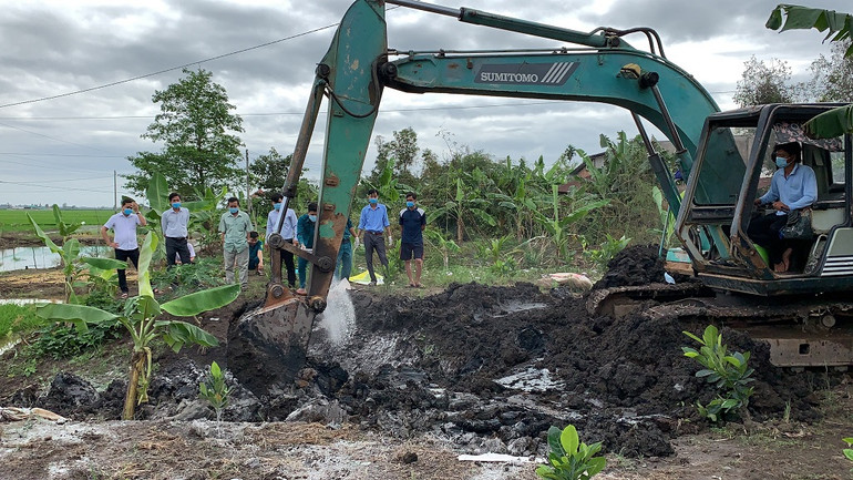 Long An phát hiện lợn chết nghi bị dịch tả lợn Châu Phi -0