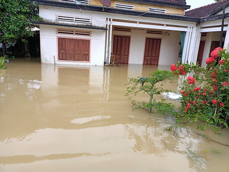 Mưa lớn gây ngập lụt, sạt lở nhiều nơi ở Quảng Ngãi -0