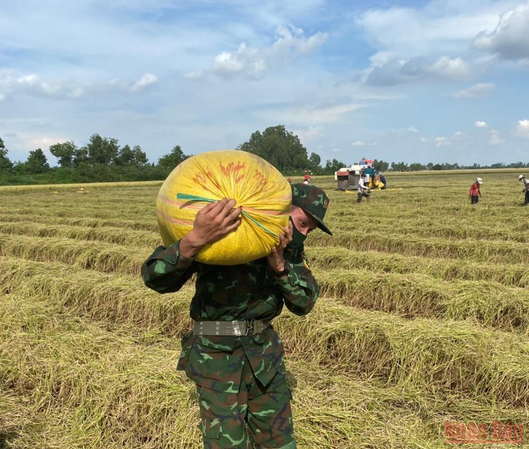 Quân đội giúp nông dân vận chuyển nông sản -0