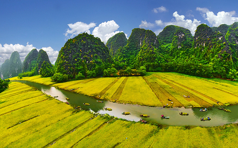 Tam Cốc - Bức họa đồng quê. Ảnh: Ninh Mạnh Thắng. Ngẩn ngơ “Mùa vàng Tam Cốc- Bích Động” -0
