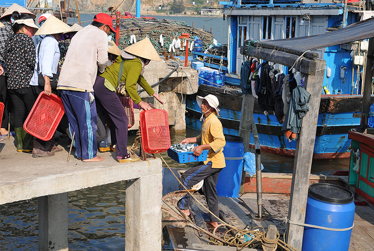 Cảng cá Cửa Sót nhộn nhịp trở lại dịp nghỉ lễ 30-4 và 1-5 ảnh 2