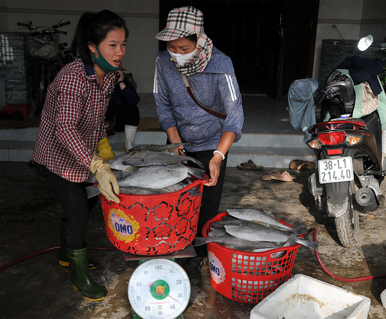 Cảng cá Cửa Sót nhộn nhịp trở lại dịp nghỉ lễ 30-4 và 1-5 ảnh 5