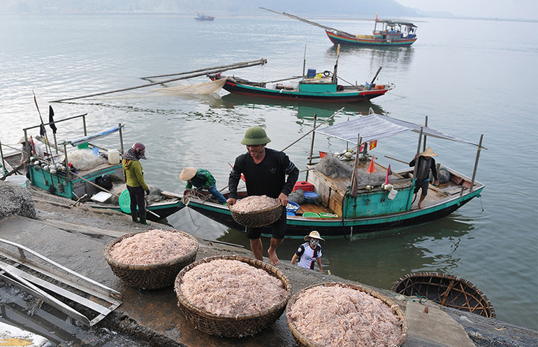 Cảng cá Cửa Sót nhộn nhịp trở lại dịp nghỉ lễ 30-4 và 1-5 ảnh 8