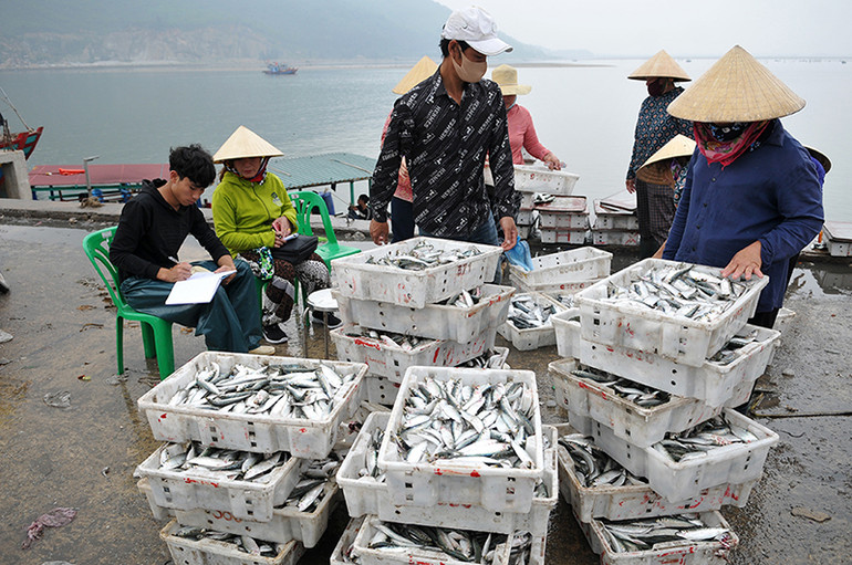 Cảng cá Cửa Sót nhộn nhịp trở lại dịp nghỉ lễ 30-4 và 1-5 ảnh 10