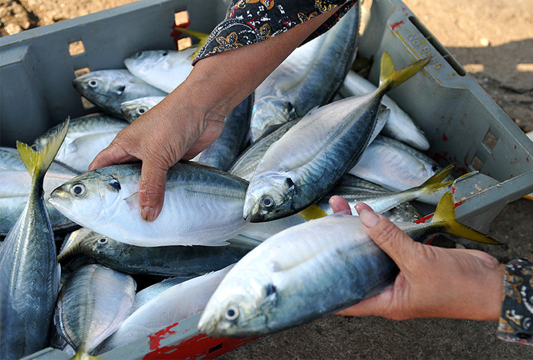 Cảng cá Cửa Sót nhộn nhịp trở lại dịp nghỉ lễ 30-4 và 1-5 ảnh 3