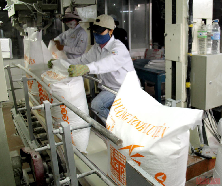 Phú Yên vui mùa mía ngọt -0