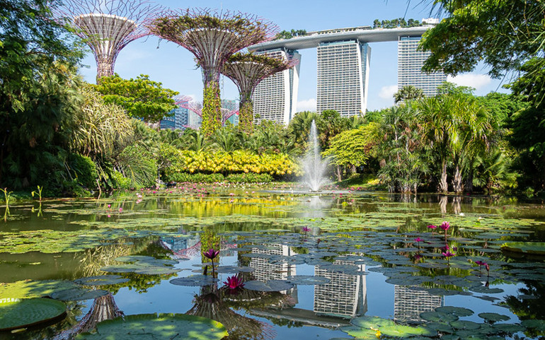 "Thiên đường" màu sắc Gardens by the Bay. (Ảnh: Gardens by the Bay) Đà Lạt nằm trong danh sách các điểm ngắm hoa được yêu thích nhất thế giới -0