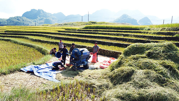 Người du kích Tả Ngảo -0