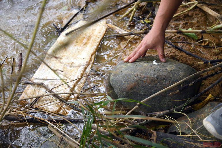 Khắc khoải bờ Nam Bến Hải: Phía trong lòng địch -0