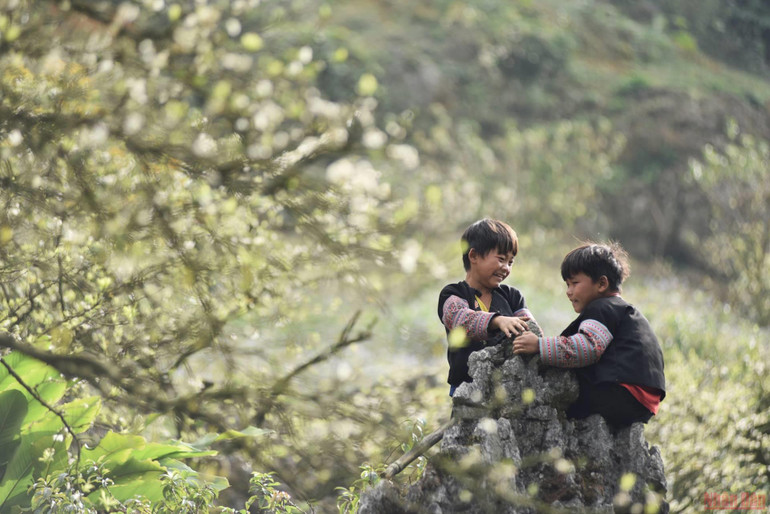 Ngất ngây mùa hoa mận trắng ở Mu Náu, Mộc Châu -0