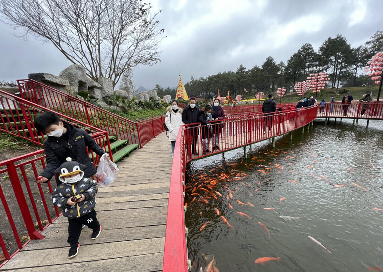 Hỗ trợ doanh nghiệp vươn lên nấc thang mới trong chuỗi giá trị -0