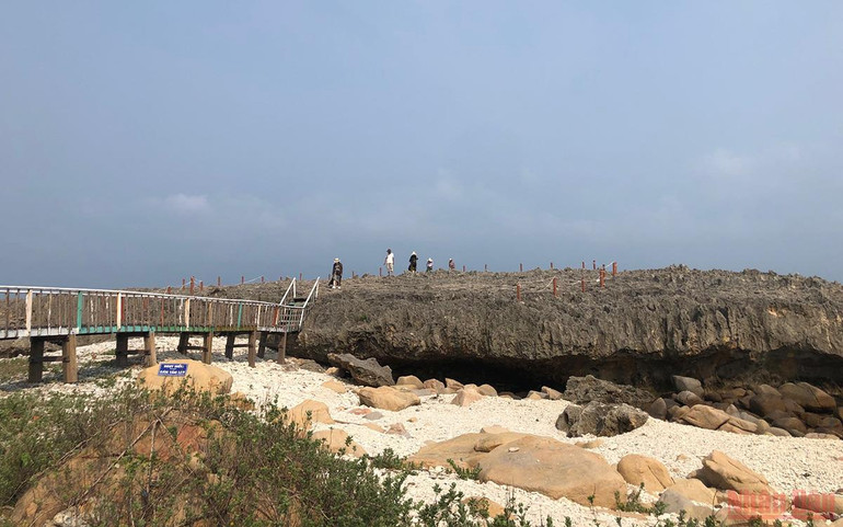 Bên dưới là những miệng hang. Khám phá bãi đá cổ di sản Hang Rái, Ninh Thuận -0