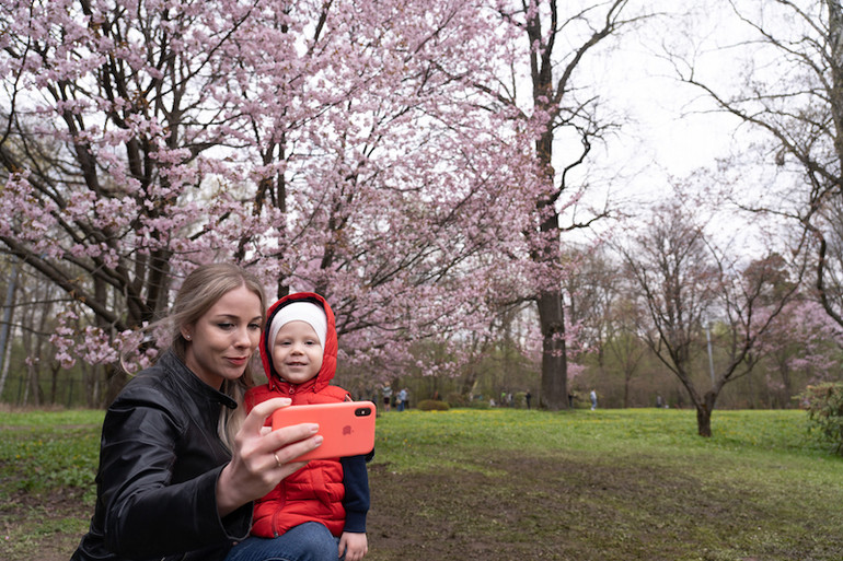 Người Moscow xếp hàng ngắm anh đào nở -0