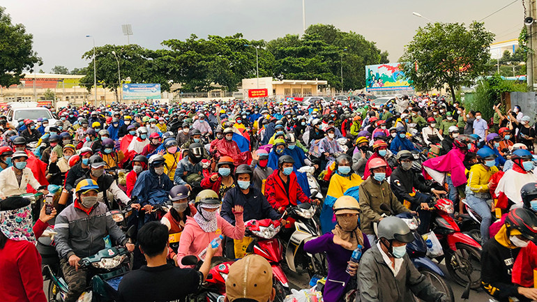 Tọa đàm trực tuyến về giải pháp hỗ trợ, ổn định thị trường lao động trong bối cảnh đại dịch -0