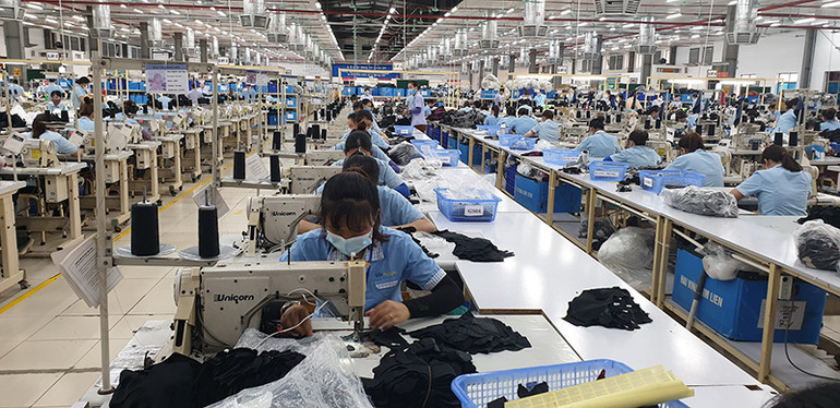 Tọa đàm trực tuyến về giải pháp hỗ trợ, ổn định thị trường lao động trong bối cảnh đại dịch -0