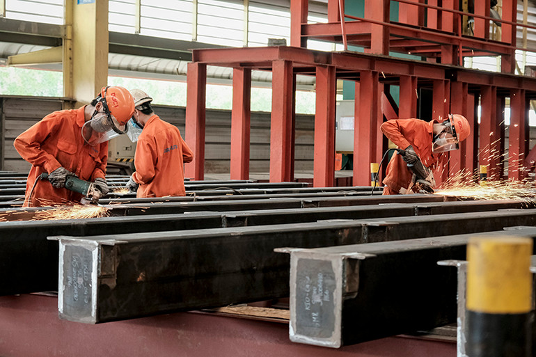 Tọa đàm trực tuyến về giải pháp hỗ trợ, ổn định thị trường lao động trong bối cảnh đại dịch -0