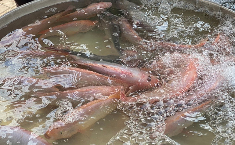 Cần Thơ đưa chợ ra phố trong thời gian giãn cách xã hội -0