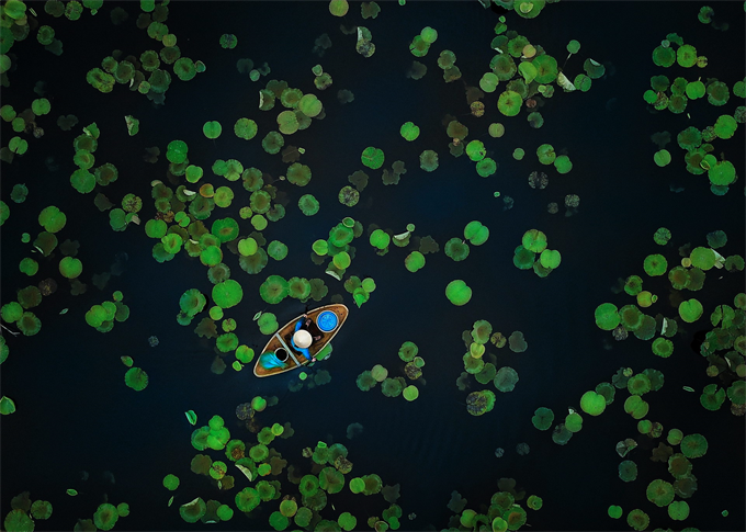 Việt Nam đạt hai Bằng Danh dự tại cuộc thi nhiếp ảnh FIAP năm 2021 -2