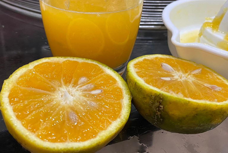 Chuyện “giải cứu” quýt và nghịch lý ở Quỳ Hợp -0