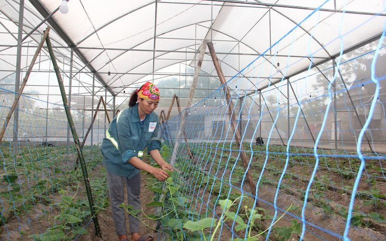 Trên quê hương đồng chí Hà Huy Tập -0