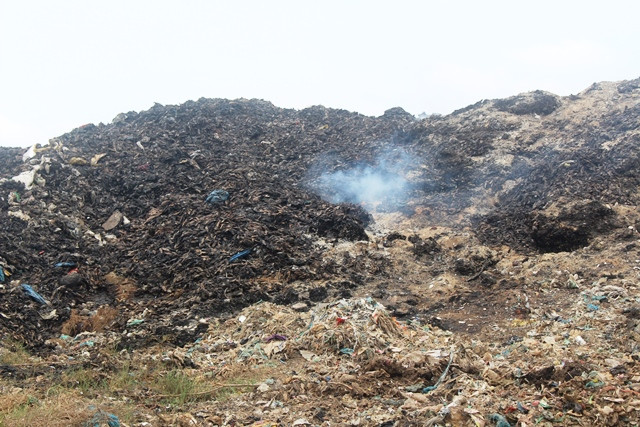 Bãi rác quá tải gây ô nhiễm môi trường tại Tiền Giang ảnh 1