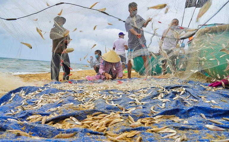Ngư dân Bà Rịa - Vũng Tàu háo hức ra khơi -0