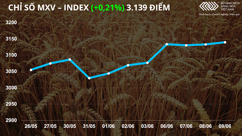 Nhóm kim loại đồng loạt lao dốc trước “cuộc chiến” tăng lãi suất nhằm kiềm chế lạm phát -0