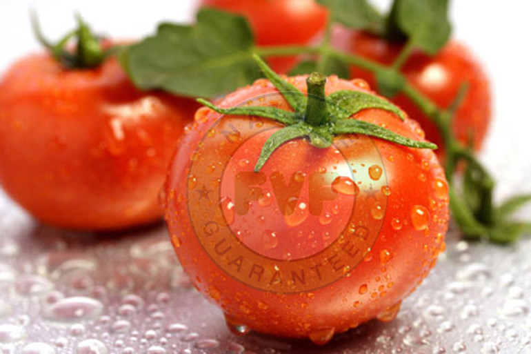 TH xây dựng nhà máy chế biến thực phẩm sạch hiện đại nhất Việt Nam -0