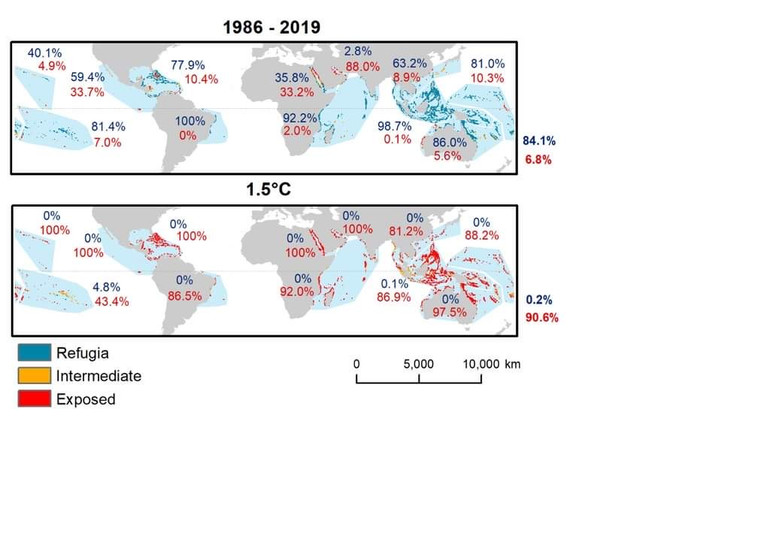 Hầu hết các rạn san hô trên thế giới biến mất ở nhiệt độ 1,5 °C. Nguồn: PLOS Climate. Nghiên cứu cho thấy hầu hết các rạn san hô biến mất khi nhiệt độ ấm lên 1,5 °C -0