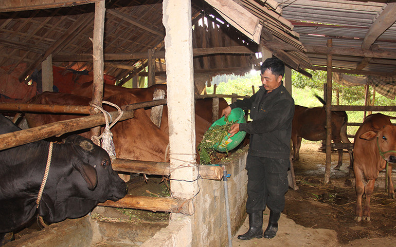 "Bà đỡ" xóa nghèo nơi miền núi, biên giới Hà Tĩnh ảnh 1