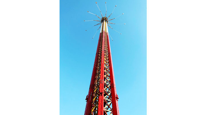 Gấu koala nhiều tuổi nhất thế giới -0