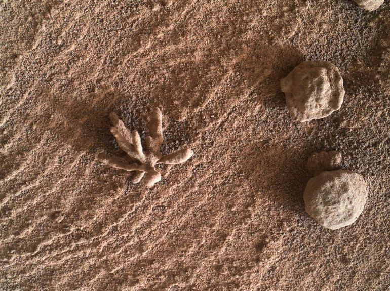 Tàu thám hiểm Curiosity đã chụp được cận cảnh vật thể này bằng ống kính tay. Nguồn: NASA. Phát hiện tảng đá hình bông hoa trên sao Hỏa -0