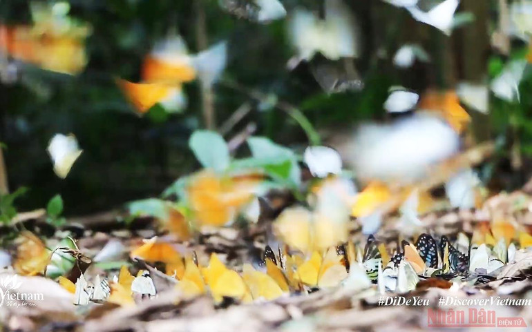 “Việt Nam: Đi Để Yêu! - Về với Ninh Bình”-Hành trình đầy cảm xúc ảnh 5 “Việt Nam: Đi Để Yêu! - Về với Ninh Bình”-Hành trình đầy cảm xúc -0
